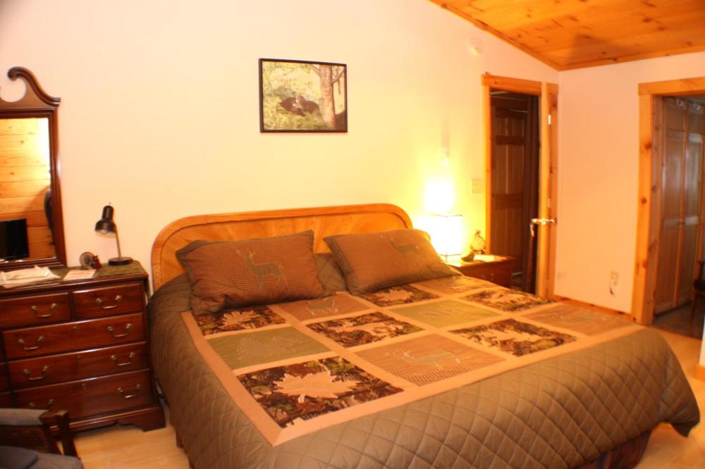 Deluxe King Suite interior
